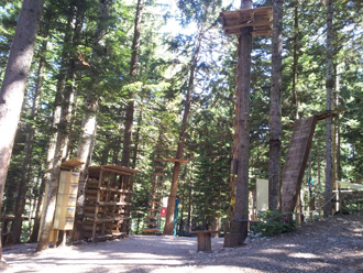 Indian Forest